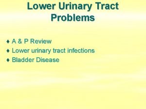 Lower Urinary Tract Problems A P Review Lower