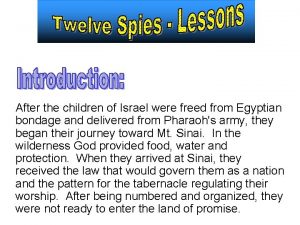 After the children of Israel were freed from