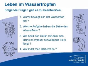 Leben im Wassertropfen Folgende Fragen galt es zu