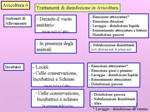 Avicoltura 6 Ambienti di Allevamento Trattamenti di disinfezione