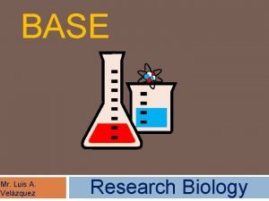 BASE Mr Luis A Velzquez Research Biology What