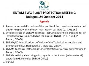 ENTAM TWG PLANT PROTECTION MEETING Bologna 24 October