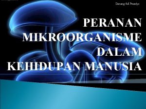 Danang Adi Prasetyo PERANAN MIKROORGANISME DALAM KEHIDUPAN MANUSIA