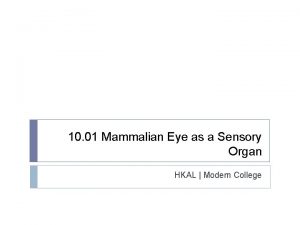 Sequence of sensory processing