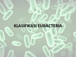 KLASIFIKASI EUBACTERIA PROTEOBACTERIA Kelompok terbesar dan dikelompokan dalam