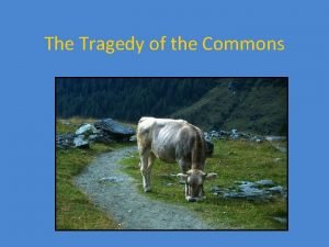 Example of tragedy of the commons