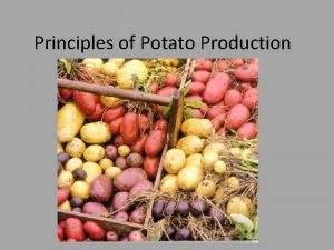 Principles of Potato Production Varieties of potatoes Potatoes