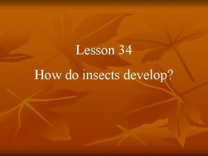 Lesson 34 How do insects develop Insects are