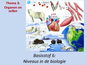 Thema 3 Organen en cellen Basisstof 6 Niveaus