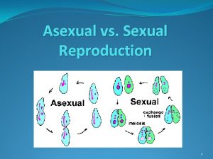 Asexual and sexual reproduction venn diagram