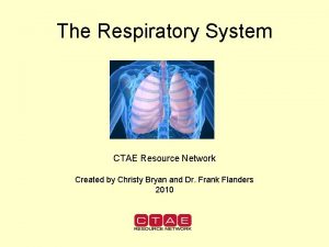 The Respiratory System CTAE Resource Network Created by