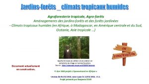 Agroforesterie tropicale Agroforts Amnagements des jardins forts et