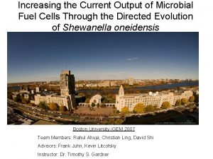 Increasing the Current Output of Microbial Fuel Cells