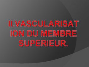 Artère scapulaire supérieure