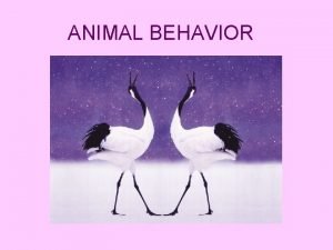 Taxis in animals Taxis in animals