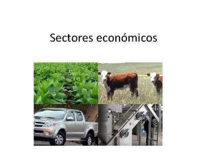 Sectores econmicos Sectores econmicos Las actividades econmicas se