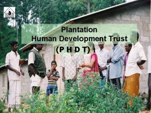 Plantation human development trust