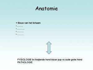 Anatomie Bouw van het lichaam FYSIOLOGIE bv kwijlende