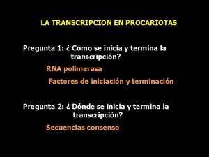 LA TRANSCRIPCION EN PROCARIOTAS Pregunta 1 Cmo se