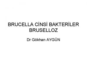 BRUCELLA CNS BAKTERLER BRUSELLOZ Dr Gkhan AYGN Brucella