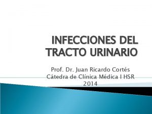 INFECCIONES DEL TRACTO URINARIO Prof Dr Juan Ricardo