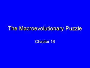 The Macroevolutionary Puzzle Chapter 18 Fossils and the