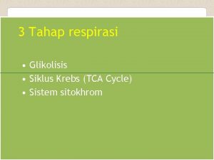 3 Tahap respirasi Glikolisis Siklus Krebs TCA Cycle