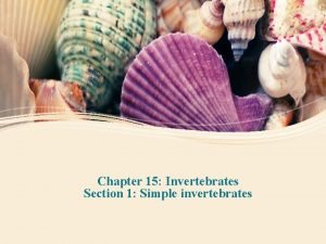 Chapter 15 Invertebrates Section 1 Simple invertebrates Simple