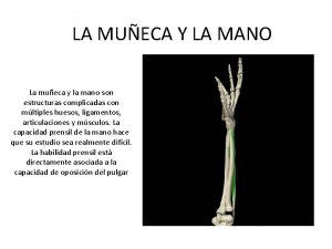 Inervacion de la mano