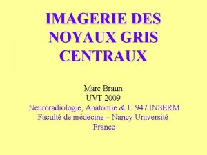 IMAGERIE DES NOYAUX GRIS CENTRAUX Marc Braun UVT