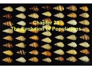 Chapter 23: the evolution of populations