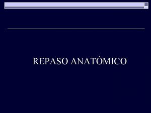 REPASO ANATMICO Fuente Modificado de Frank H Netter