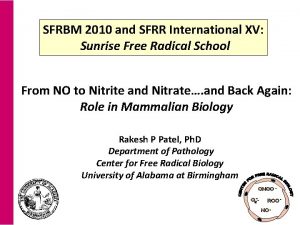 SFRBM 2010 and SFRR International XV Sunrise Free