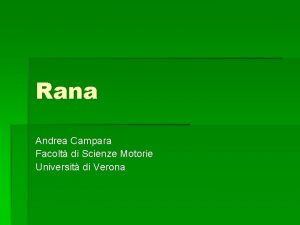 Rana Andrea Campara Facolt di Scienze Motorie Universit