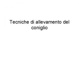 Tecniche di allevamento del coniglio Evoluzione della produzione