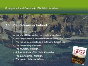 Results of laois offaly plantation