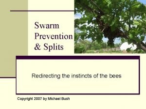 Swarm prevention split