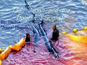 Tai chi dolphin slaughter