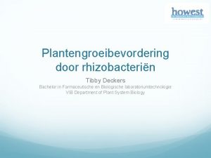 Plantengroeibevordering door rhizobacterin Tibby Deckers Bachelor in Farmaceutische