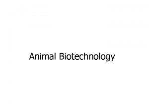 Animal Biotechnology Transgenics are genetically modified organisms with