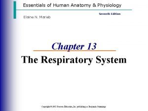 Essentials of Human Anatomy Physiology Elaine N Marieb