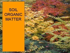SOIL ORGANIC MATTER Organic Matter Decomposition a cyclic
