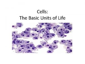 Cells The Basic Units of Life O R