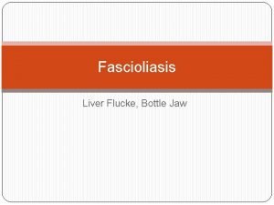 Fascioliasis Liver Flucke Bottle Jaw Definition It is