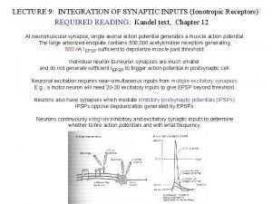 LECTURE 9 INTEGRATION OF SYNAPTIC INPUTS Ionotropic Receptors