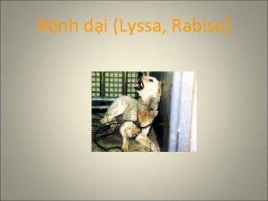 Bnh di Lyssa Rabise Gii thiu chung L