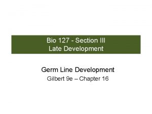 Bio 127 Section III Late Development Germ Line