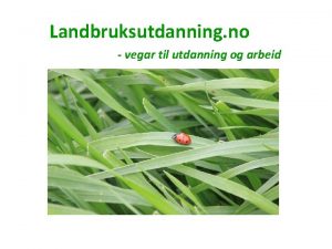 Landbruksutdanning