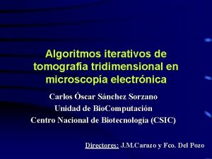 Algoritmos iterativos de tomografa tridimensional en microscopa electrnica