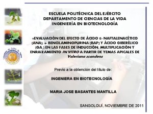 ESCUELA POLITCNICA DEL EJRCITO DEPARTAMENTO DE CIENCIAS DE